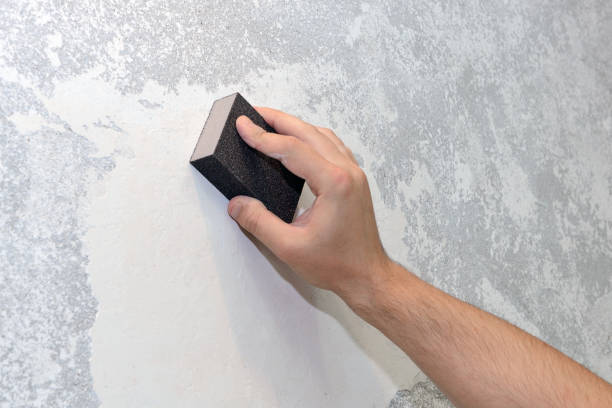 Best Emergency Mold Remediation  in Lepanto, AR