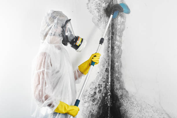Best Indoor Air Quality Assessment  in Lepanto, AR