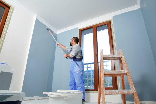 Best Mold Odor Removal Services  in Lepanto, AR