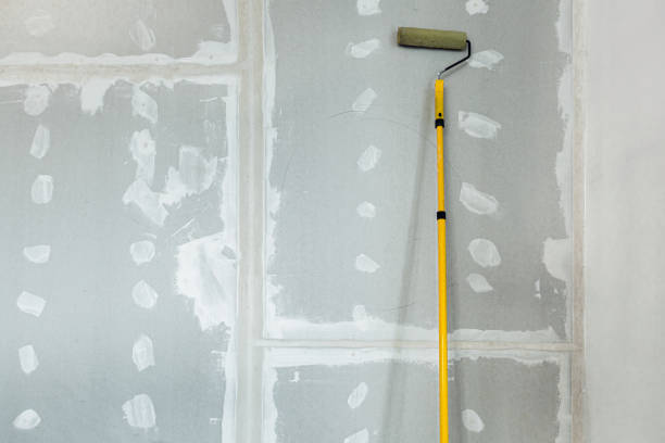Best Mold Documentation for Insurance Claims  in Lepanto, AR