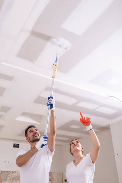 Best HVAC Mold Inspection and Cleaning  in Lepanto, AR