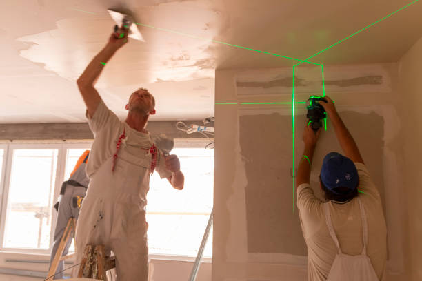 Best Mold Removal for HVAC Installations  in Lepanto, AR